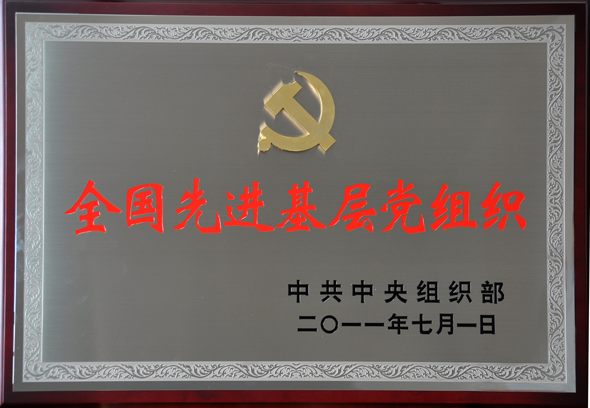 2011年7月，紅豆集團(tuán)黨委榮獲“全國(guó)先進(jìn)基層黨組織”稱(chēng)號(hào)